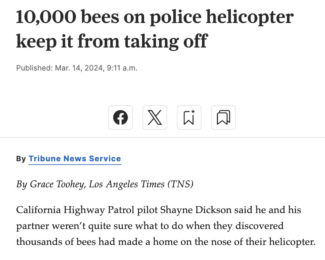 document - 10,000 bees on police helicopter keep it from taking off Published Mar. 14, 2024, a.m. X By Tribune News Service By Grace Toohey, Los Angeles Times Tns California Highway Patrol pilot Shayne Dickson said he and his partner weren't quite sure wh